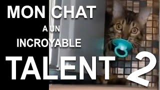 MON CHAT A UN INCROYABLE TALENT #2