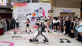 【Fursuit Dance】 银碳Gintan - Random Dance in Chongqing 2023-11-04 (Full cut)