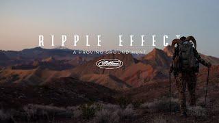 RIPPLE EFFECT | Archery Desert Bighorn with Remi Warren // 2024 Proving Ground
