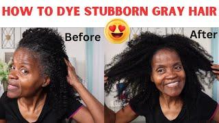 HOW TO DYE STUBBORN GRAY HAIR