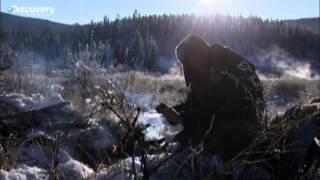 Сибирская оленина - Выжить любой ценой