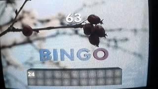 Bingo Die Umweltlotterie