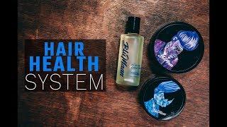 Blumaan Hair Health System l Can This Make Your Hair Healthier? l Hair Tips