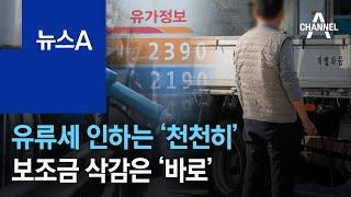 유류세 인하는 ‘천천히’…유가 보조금 삭감은 ‘바로’ | 뉴스A