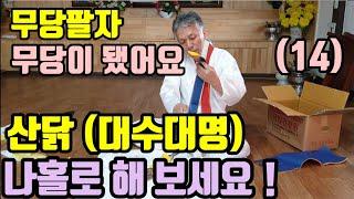 나홀로  해 보세요 ! (대수대명) 원산말뚝 (산닭을 묶어서) (통북어를 묶어서) 사람을 살리는 일 입니다