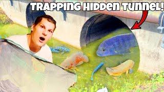 I Found AQUARIUM FISH In HIDDEN TUNNEL TRAP!