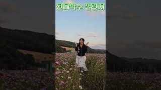 된다박수 챌린지#shorts#코스모스#된다박수챌린지#빅마우스tv
