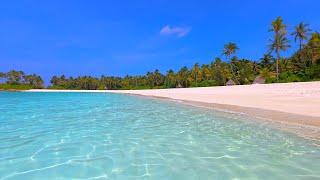  Beach View: 12 Hours of Maldives Ambience & Soft Ocean Sounds