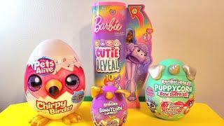 ASMR Mystery Syrprise Unboxing Barbie Reveal, Rainbocorns, Zuru Chirpy Birds No Tallking Video