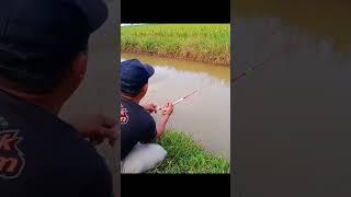 Happy Fishing-Sungai Kecil Yang Banyak Ikannya #short