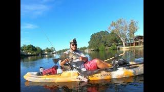 Black Drum Fishing With Florida Fish Orry  #KayakFishing #DanTheFishMan #TampaBayFishing #Holdon!!