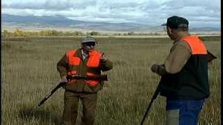 Preview of Hunting  Hungarian Partridge Montana by Sunrise productions