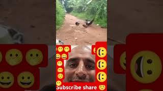 #funny #comedy #africa #ytshorts #virendershorts#trending #shorts #viralvideo