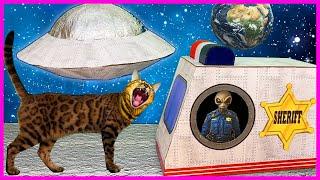 CAT QUEST  | ESCAPE FROM SPACE PRISON IN REAL LIFE