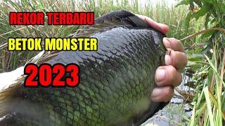 REKOR JUM!!! Mancing betok monster di rawa yang tak terjamah manusia