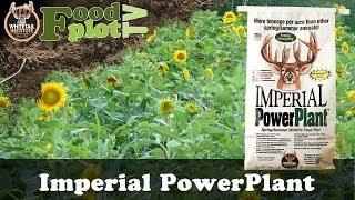 Whitetail Institute Power Plant Food Plot