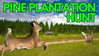 A Deer Hunting Lesson in Mississippi Pine Trees