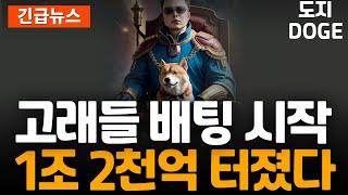 ※긴급속보※ DOGE 도지 고래들의 엄청난 배팅이 시작됫다!