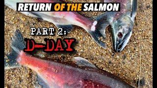 RETURN OF THE SALMON 2: D-DAY