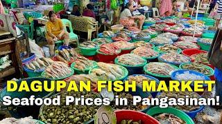 DAGUPAN FISH MARKET TOUR | Pangasinan’s Biggest Seafood Market Prices this August 2024 | Philippines