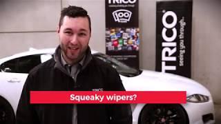 Trico Tech Tip - Squeaky Wipers