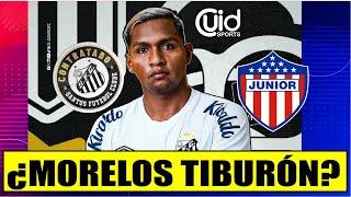 ¡ATENCIÓN JUNIOR¡ ¿ALFREDO MORELOS DEL SANTOS AL TIBURÓN? ATENCIÓN A LO QUE DICE LA PRENSA BRASILERA