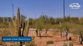 Sonora at Entrada del Pueblo | Sahuarita, AZ