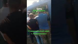 Арбуз Грааль. Новопавловск. КМВ. Ставропольский край.
