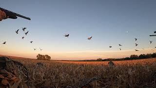 Indiana Goose Hunt - 2021 Early Season