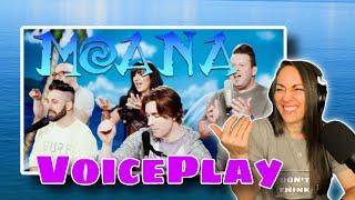 So fun!! | MOANA MEDLEY | VoicePlay Feat. Rachel Potter | Reaction