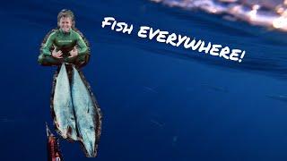 Spearfishing Wahoo (Ono) Catch and Cook FISH EVERYWHERE!!!