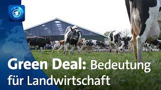 Klimaneutralität in der EU: Was der „Green Deal“ für die Landwirtschaft bedeutet