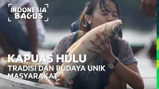 Tradisi dan Budaya Unik Masyarakat Kapuas Hulu - Indonesia Bagus