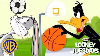 Looney Tuesdays | Ball Games ️ | @wbkids​