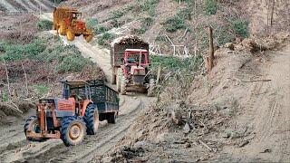 the journey of a plow truck transporting wood - strong and powerful