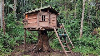 built a wooden house on a big tree, with 2 doors, balcony, and bush room