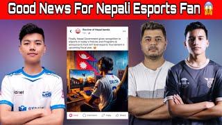 Good News For Nepali Esports Fan  // MLBB Lan Event!! Delta and Hait Dami Interview  #mandipyt