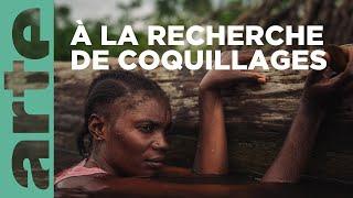 Plongée au coeur du delta du Congo | 360° Reportage | ARTE Family