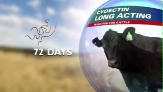 Cydectin Long Acting Injection for Cattle - Southern