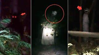 Bikin Merinding ! Dikira Orang Ternyata Hantu Asli | 7 Penampakan Hantu Terjelas dan Seram