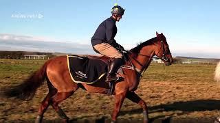 Royal Artillery Gold Cup: Jamie Snowden
