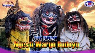 BARONGAN NGESTI WARGO BUDOYO LIVE TAWANG