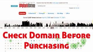 How to Check a Domain’s History Before Buying it (Steps + Tips) | Check Domain Before Purchasing