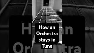 How Musical Instruments Stays in Tune with each other #musicmatters #pentatonic #musicaldiscoveries