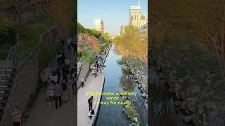 Cheonggyecheon: Seoul’s Urban Oasis #Cheonggyecheon #SeoulOasis #UrbanNature #SeoulStream #CityEscap