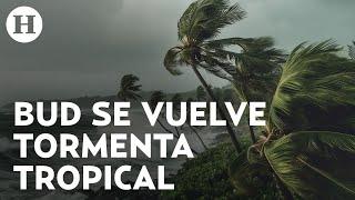 Se forma la tormenta tropical Bud en el Pacífico ¿Tocará tierra en México?