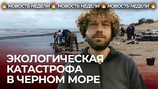 Экологическая катастрофа на юге России | Черное море тонет в мазуте, добровольцы спасают Анапу