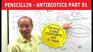 Penicillin | Antibiotics | Dr Najeeb | Part 1/4