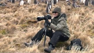 Travels with Timi Gustafson: Antarctica