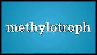 Methylotroph Meaning